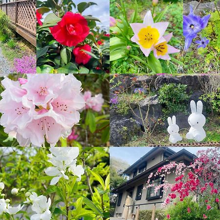 貸別荘花摘里　伊豆高原 Futo Eksteriør billede
